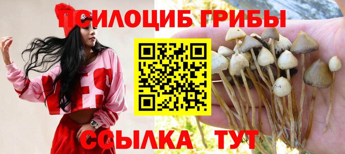 Псилоцибиновые грибы мицелий Кашира