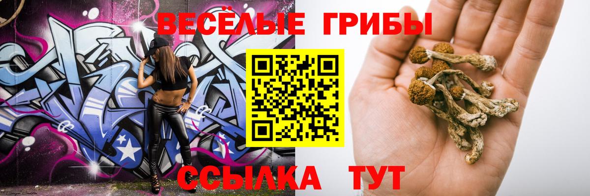 Галлюциногенные грибы прущие грибы  Галлюциногенные грибы Psilocybe  Вход с VPN  Кашира 