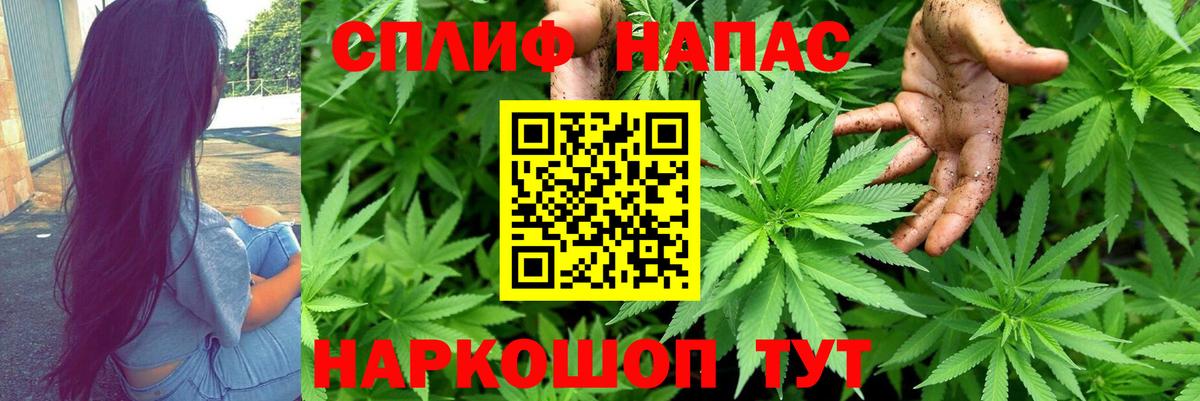 Кашира  Конопля планчик  Бошки Шишки AK-47  Вход с VPN 