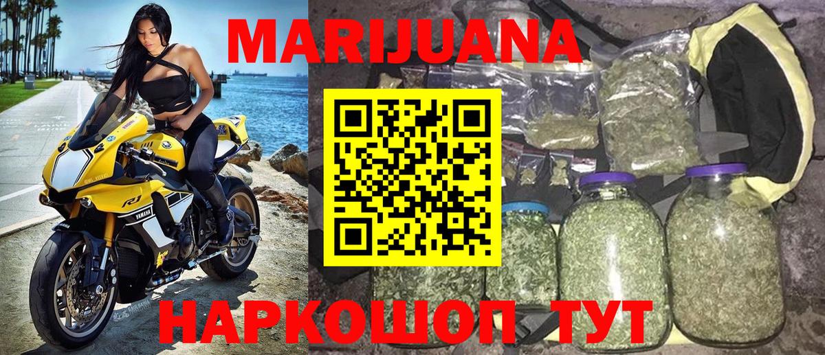 Каннабис индика Кашира